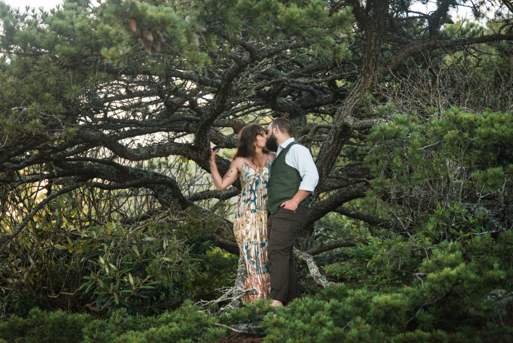 Couple kissing beneath a tree after they eloped in the mountains